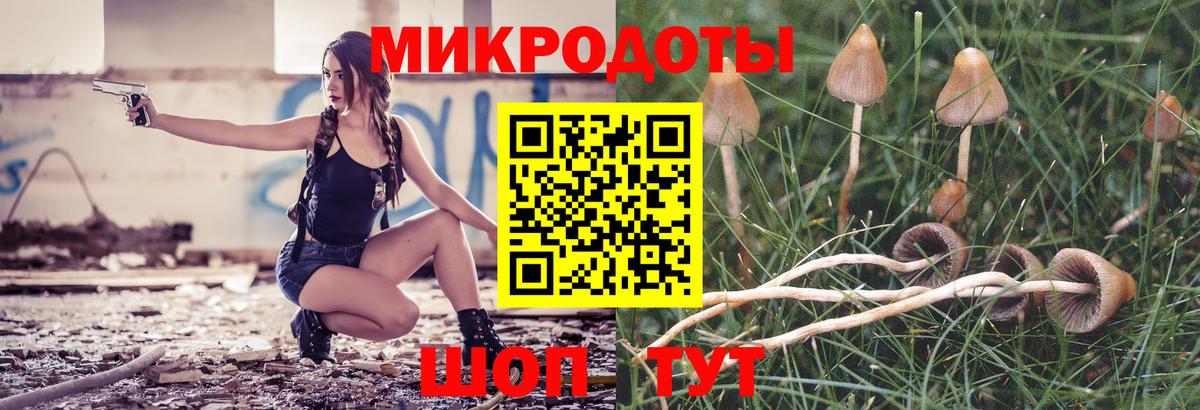 Галлюциногенные грибы Psilocybe Кудрово